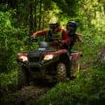 atv trail in forest