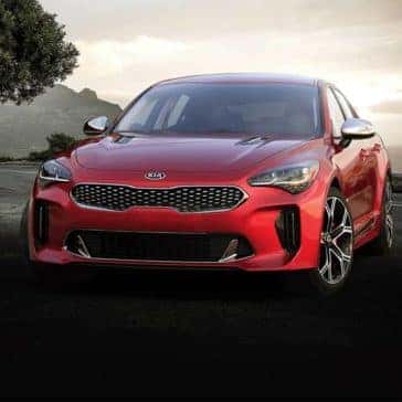 2020 Kia Stinger Grill