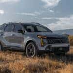 2026-Kia-Sportage-in-grassland