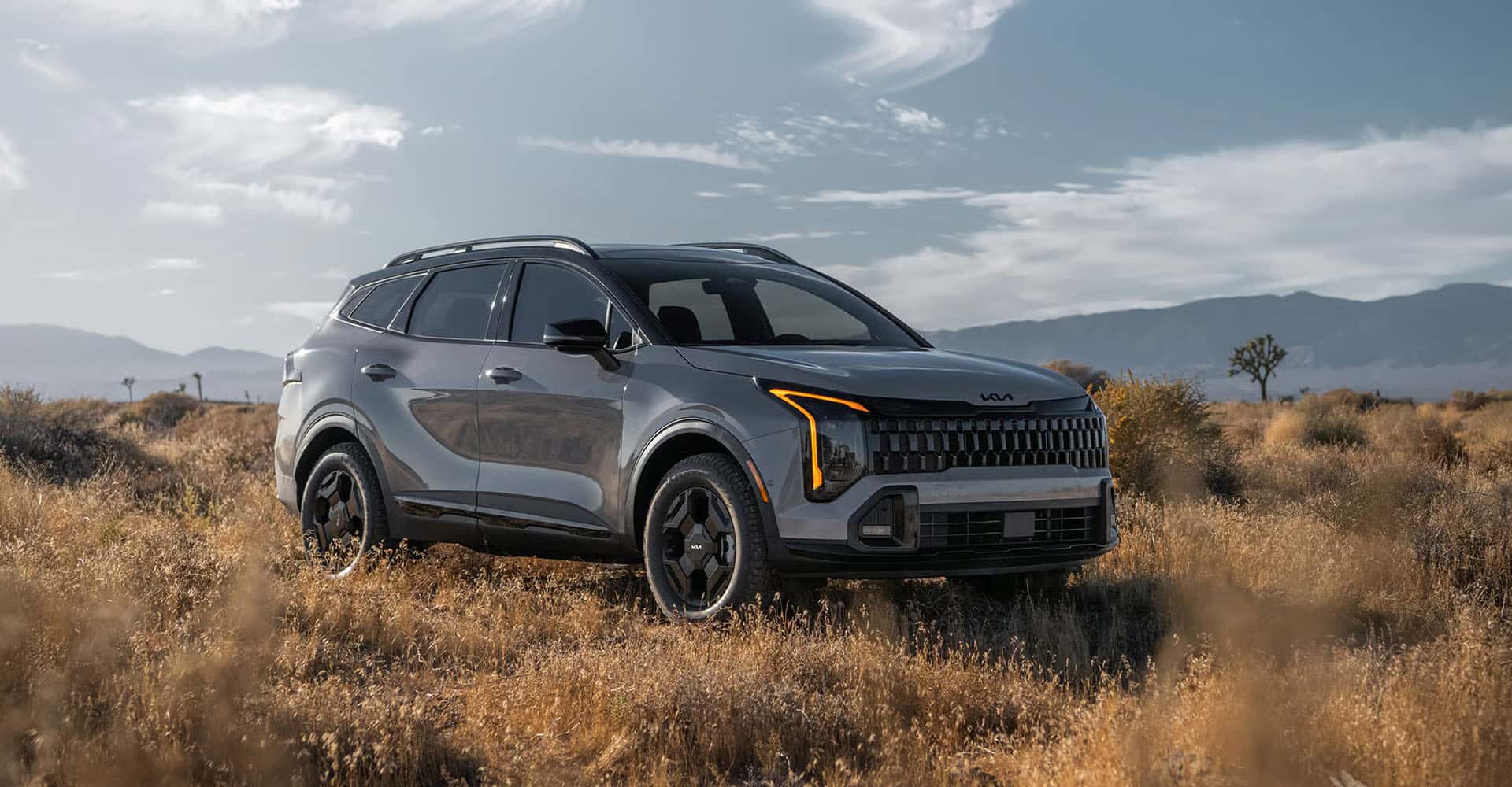2026-Kia-Sportage-in-grassland