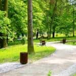 bench in a green park