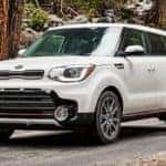 2019 soul driving in woods