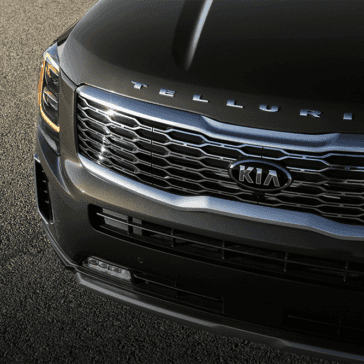2020 Kia Telluride Grill