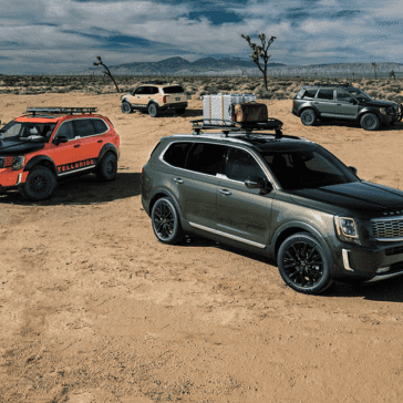 2020 Kia Telluride Trio