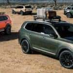 Kia Telluride Models in Desert