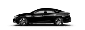 Maxima