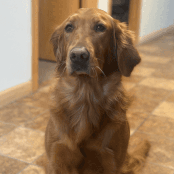 Maggie  